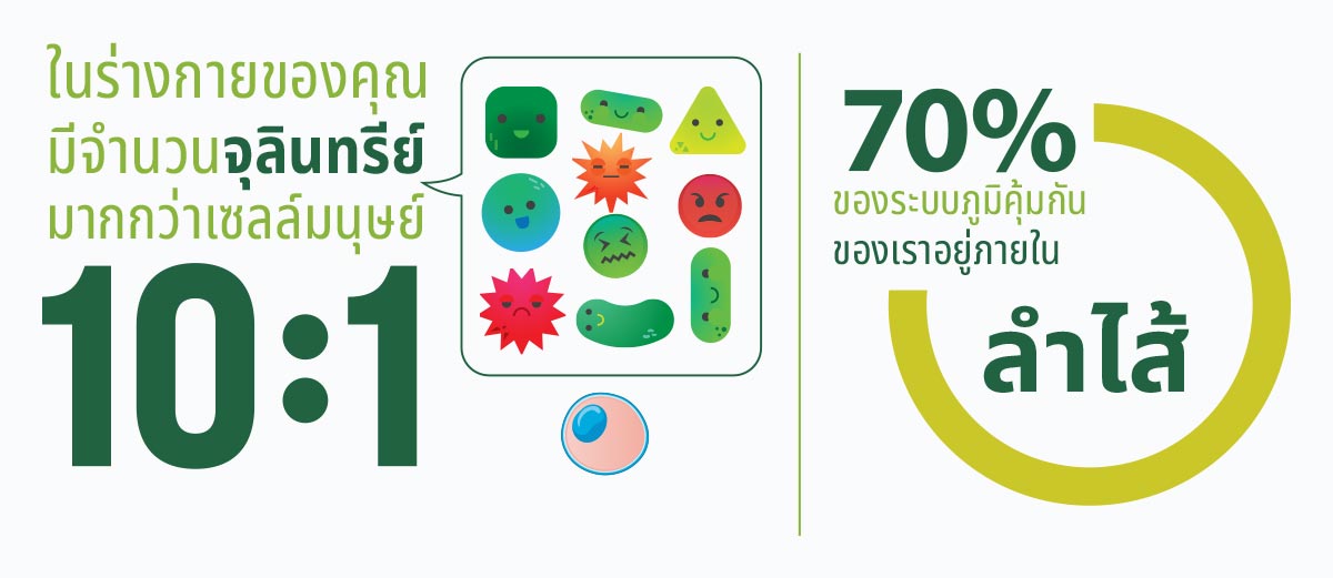 ทำไมสุขภาพทางเดินอาหารจึงสำคัญ